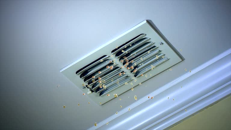 Best General Air Duct Cleaning  in Lowell, MI